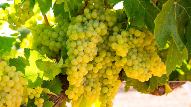 balance blood pressure