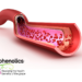 Endothelial health: The emerging cardiovascular frontier